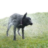 Foto van Eef en Tjibbe