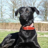 Foto van Eef en Tjibbe