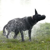 Foto van Eef en Tjibbe