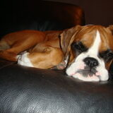 Foto van Ronnie & ««Jara»»