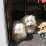Even kijken waar we nu weer zijn. Bradley en mams Daisy