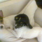 axxoe & MAMA LIZZY
