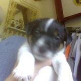 BABY AXXOE 15DAGEN.