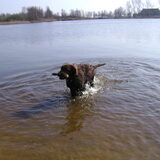 De stok uit het water gehaald!