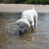 Spannend... water!