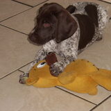 Foto van kelly,s black favoriete