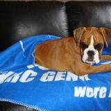 17mei2011 - komaaan racing !