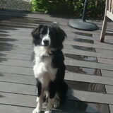 ff poseren