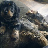 Foto van Pepijn & Otis