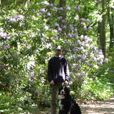 bois de brieulle