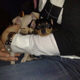 Samen op schoot!