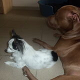 Foto van Amanda *Diablo & Lana