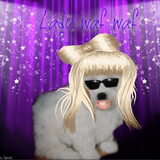 Lady waf waf