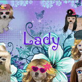 parodie Lady