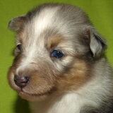 Mainey 3 weken