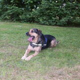 Foto van Claudia & Tank