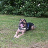 Foto van Claudia & Tank