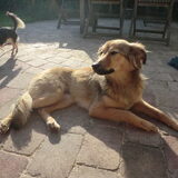 Foto van Sanne