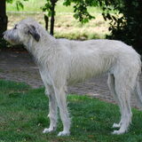 KumBaYah