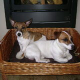 Hier is dus chenna samen met maxi