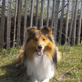 Foto van Wim & Mexx