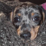 Lieve oogjes..