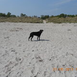 Foto van astrid