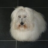 en dan weer mooi wit