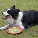 ook nog wat frisbee gedaan..