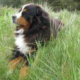 Cooper.