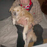 Foto van MaSpi///