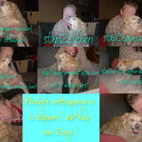 Mickey die ontsnapt
