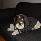 Foto van Snoopy en baasje