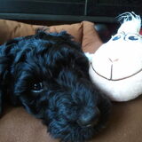 Toooooooooo cute!