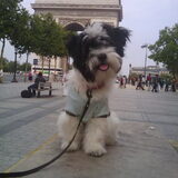 Op de Champs-Elysées