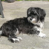 Gio 10 maanden