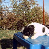 Tosca's eerste foto !!