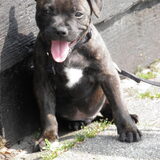 Odin bijna 8 weekjes !!!!!!!!!