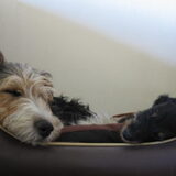 Floris en Pepijn
