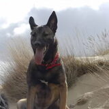 Foto van Elsbeth Whittie