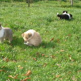 samen spelen