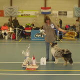 Meagan is Beste Puppy op KCM 2011