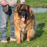 Foto van team Shadow