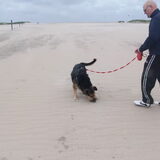 Foto van Claudia & Tank