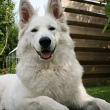 Luna zo gelukkig desondanks haar blindheid.