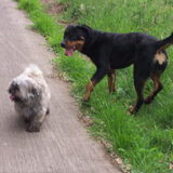 Wandeling 29-05-2011