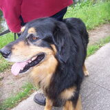 Wandeling 29-05-2011