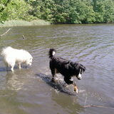 Foto van Martina en Chinook