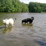 Foto van Martina en Chinook