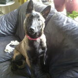 En dit is onze ander vriendin Nayra